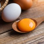 Jajčna dieta